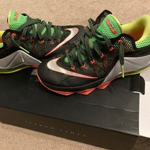 Lebron 12 low